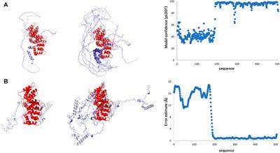 The structural properties of full-length annexin A11